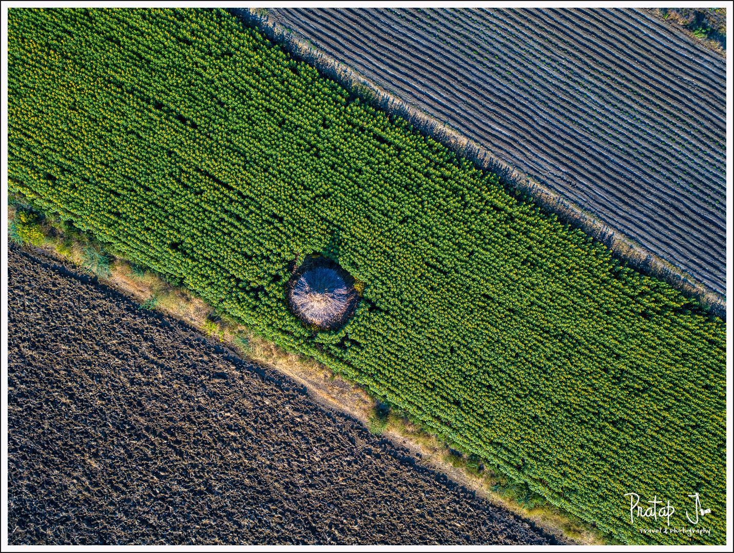 Aerial-View-of-Fields-near-Paddathkal_pj.jpg