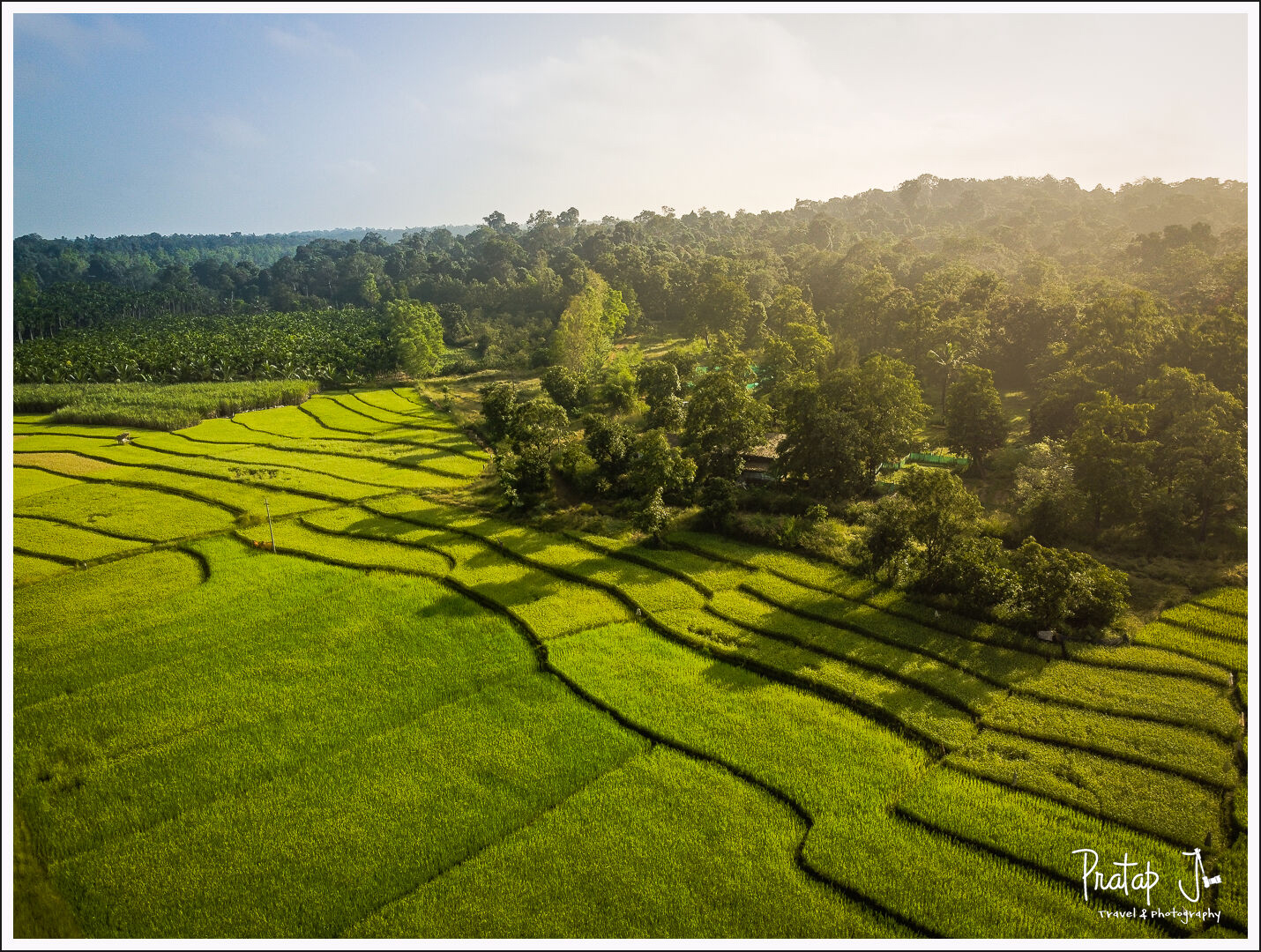 Paddy fields near Sirsi