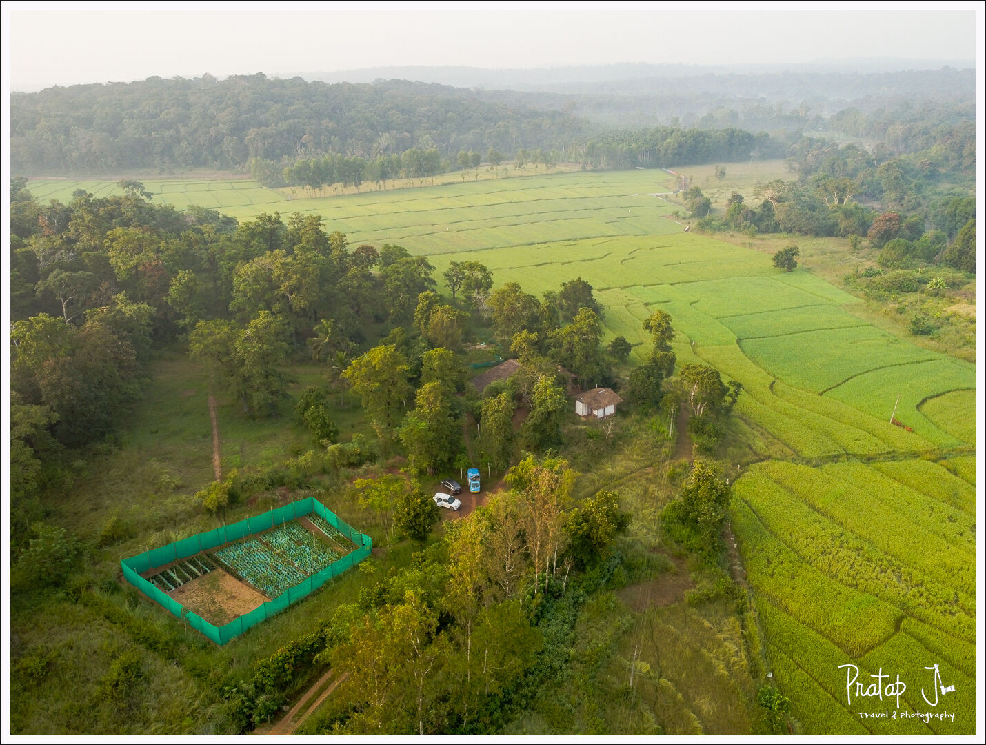 A view of the paddy field near Drongo Nature Camp