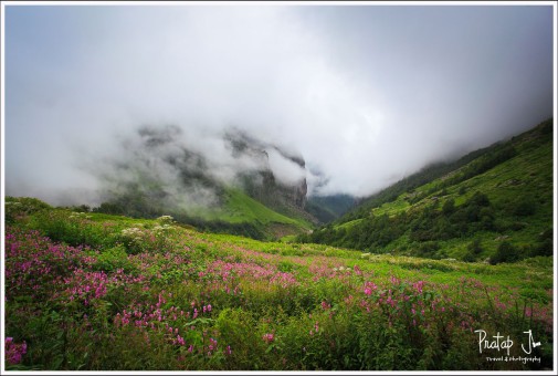 Monsoon clouds over a bed of flowers
