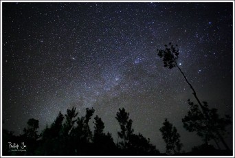 Skyfull of Stars seen from the Western Ghats