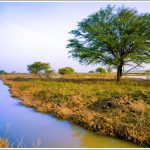 Hoskote Lake
