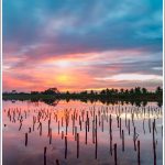 Sunrise at Nelligudda kere near Bidadi