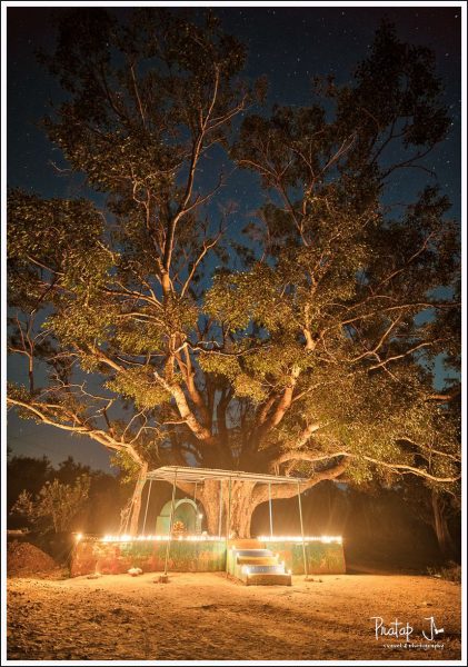 A small temple under a banyan trees in the evening lit up with lamps