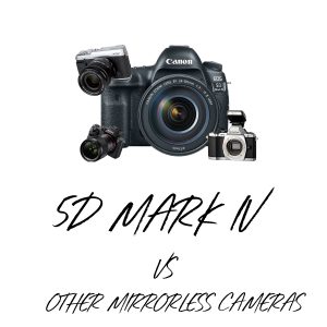 Canon 5D Mark IV Compared to Mirrorless Cameras