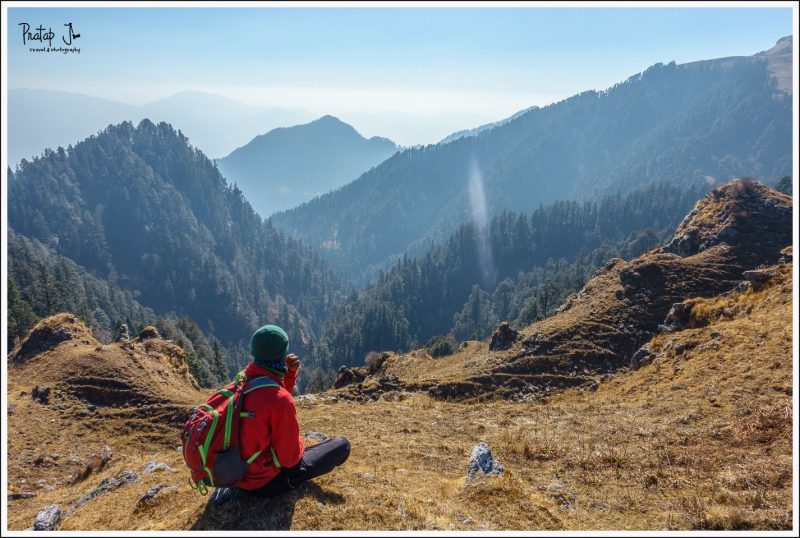 View of Alpine Himalayan Forests