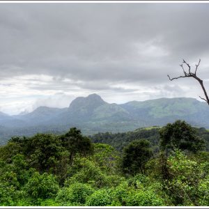 View of Buffer Zone in Western Ghats