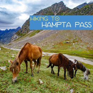Trekking to Hampta Pass and Camping at Chandratal Lake