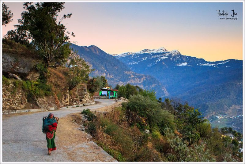 Life in the Himalayas