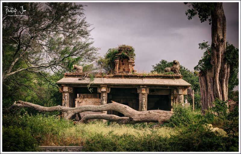 Old Ruined Temple Near Akka Thangi Kola