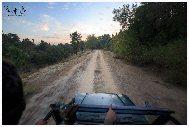 Open Top Jeep Safari at Satpura