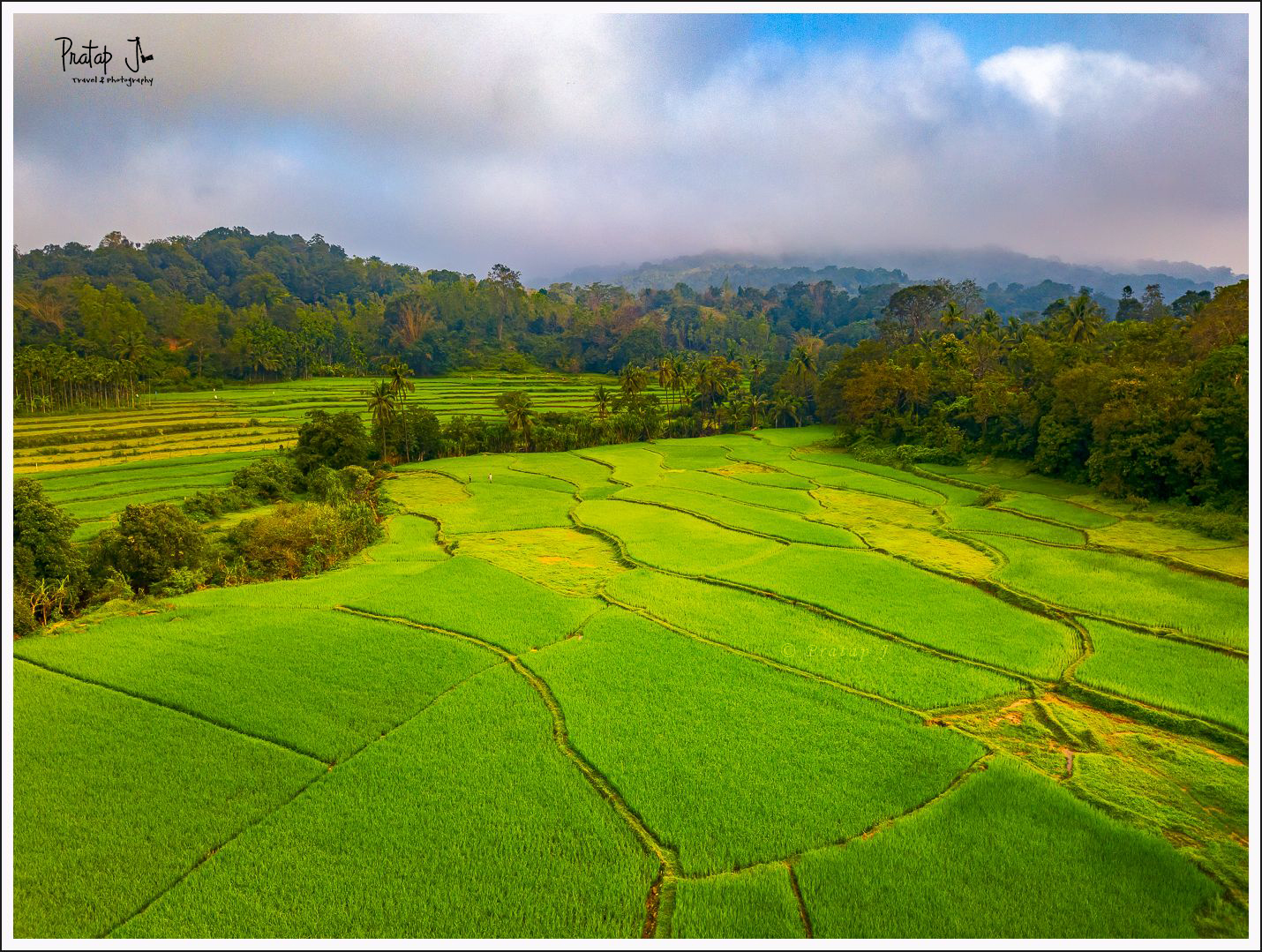 Aerial view of paddy fields near Sagar