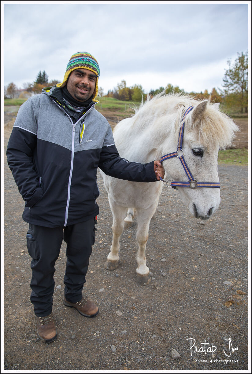 Blogger with an Icelandic horse