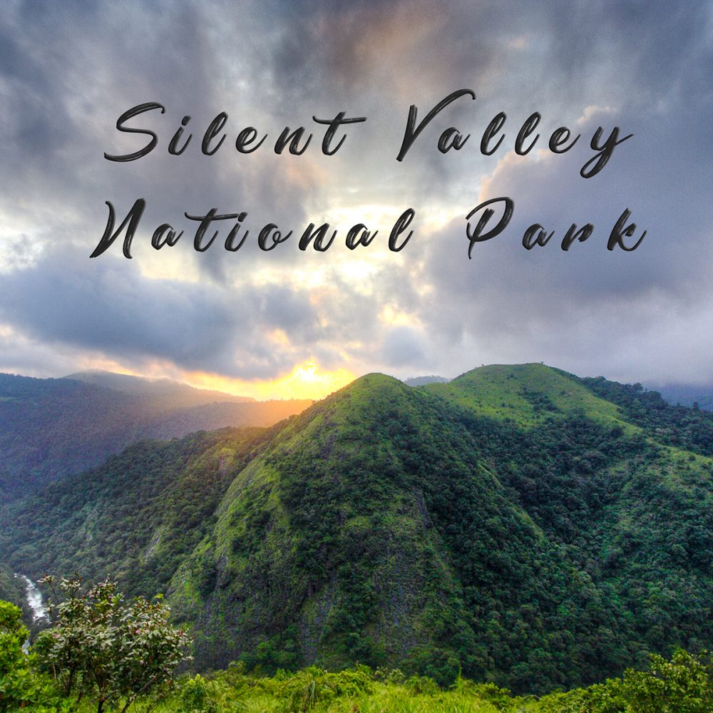 how to visit silent valley national park