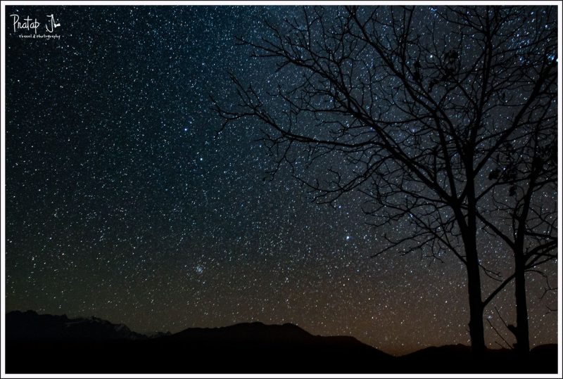 Silhouette of a tree against stars