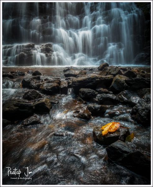 A still leave against flowing water in the background