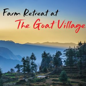 A Quiet Farm Retreat in the Himalayas – The Goat Village