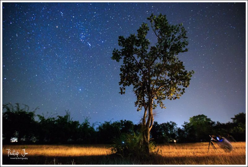 Under a Canopy of Stars