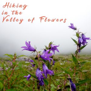 Trekking to Valley of Flowers (Uttarakhand)